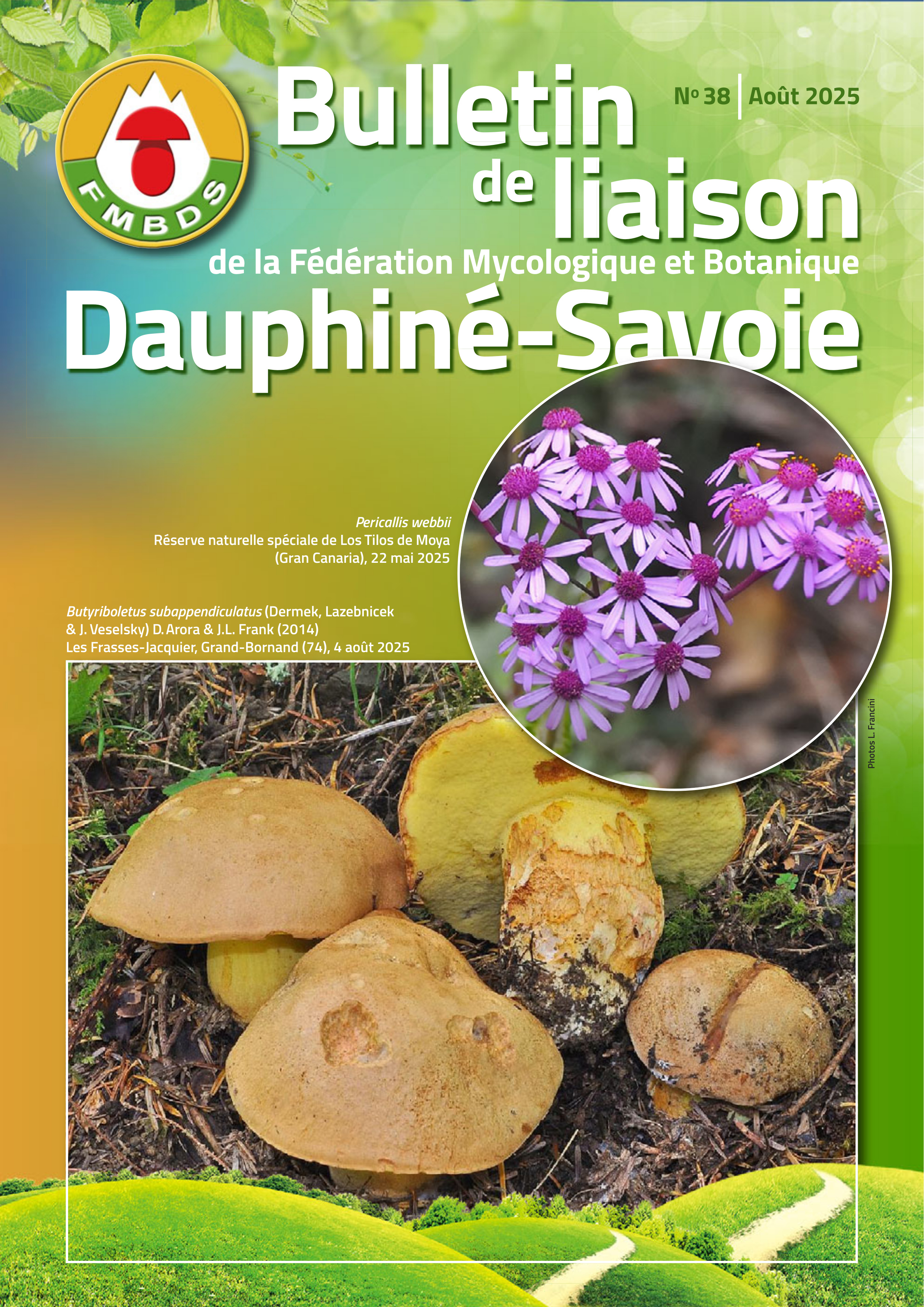 Bulletin_de_Liaison_No_38