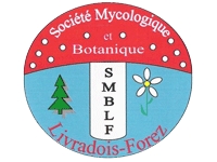 Photo de Société mycologique et botanique du Livradois-Forez