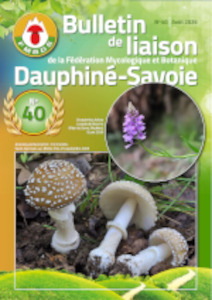 Bulletin_Liaison_No_40